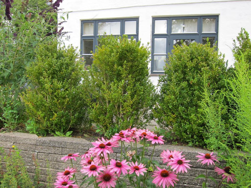 Provstegarden Bed & Breakfast Hovedgård Екстериор снимка